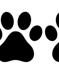 A black and white picture of two paws